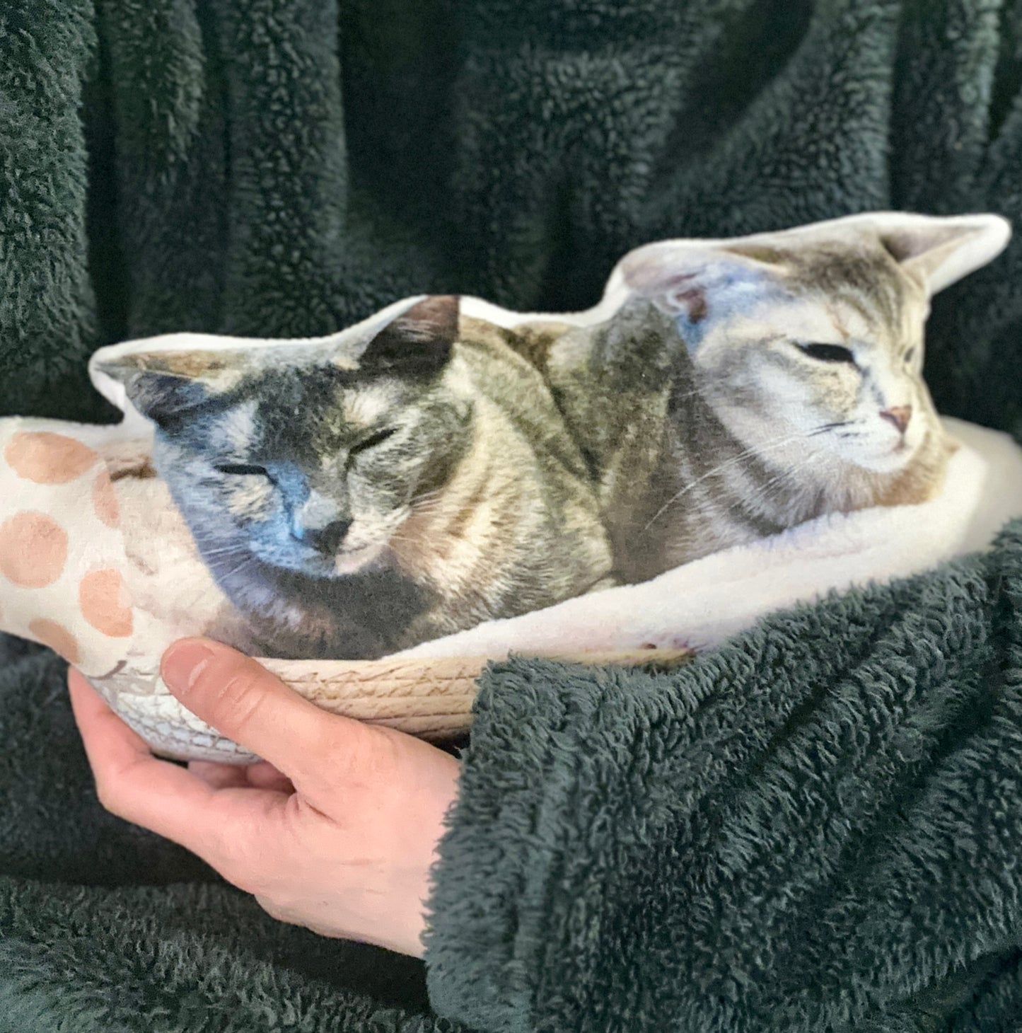 Hug Me! Pillow