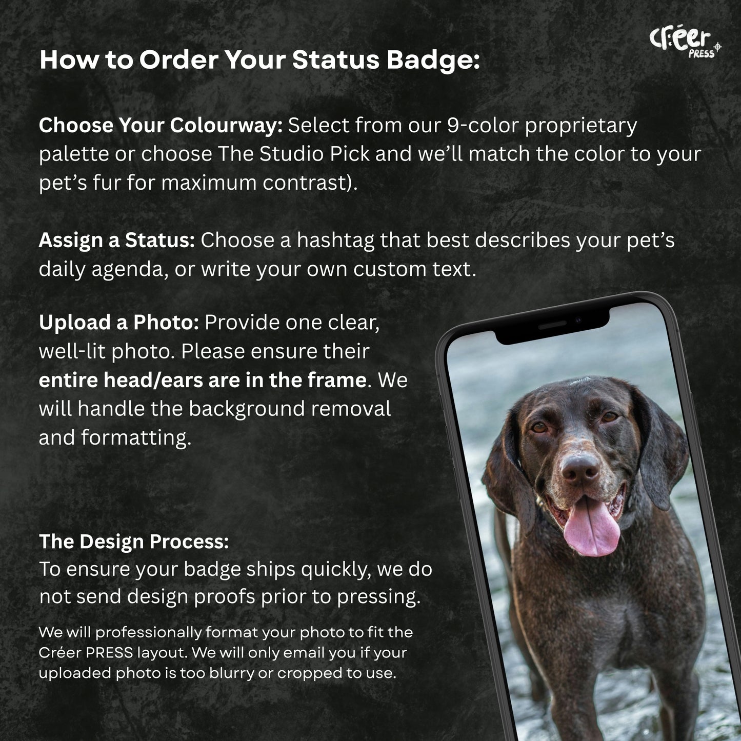 The Pet Status Badge